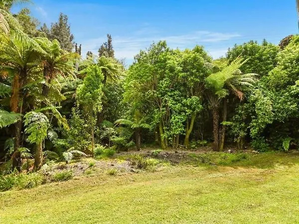 Ferienhaus Ponga Forest *