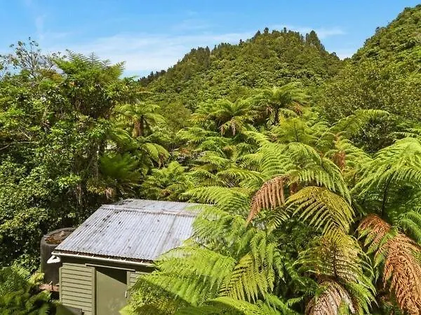 Ponga Forest Ferienhaus