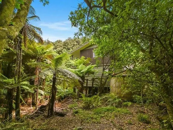 Ferienhaus Ponga Forest